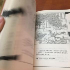 绘图中国古典诗歌名著之—会图元曲三百首、绘图宋词三百首、绘图唐诗三百首、绘图楚辞选、绘图乐府古诗选、绘图诗经选、总共六本合售