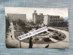 浙江师范大学老照片27cm*17.5cm【金华老照片】