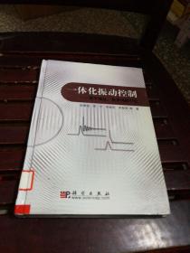 一体化振动控制:若干理论、技术问题引论