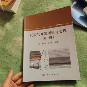 页岩气开发理论与实践（第一辑）【九品】