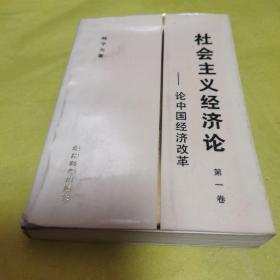 社会主义经济论（第一卷）——论中国经济改革