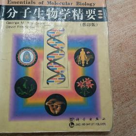 分子生物学精要（英文版）