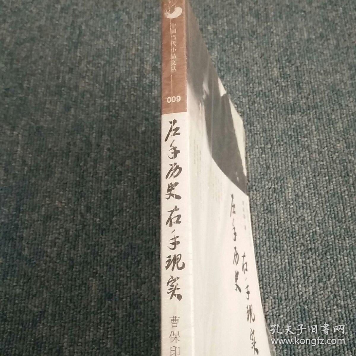 左手历史，右手现实（中国当代小品文丛009）