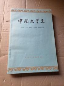 中国文学史 （三）