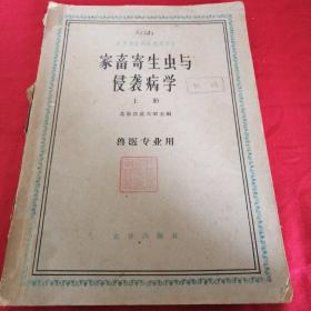 家畜寄生虫与侵袭病学    上册        兽医专业用 高等农业院校教材，大十六开  1961年农业教材，有很多彩图，土纸版，印量很少，仅印4000多册