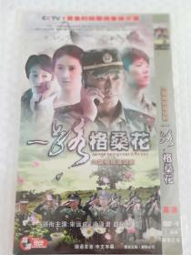 DVD 电视剧 一路格桑花 2碟装