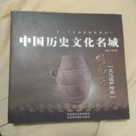 中国历史文化名城————特克斯文化遗产精粹