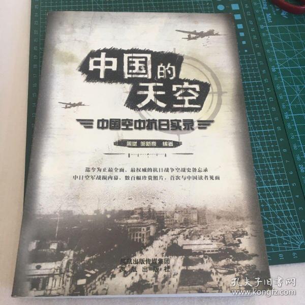 中国的天空：中国空中抗日实录