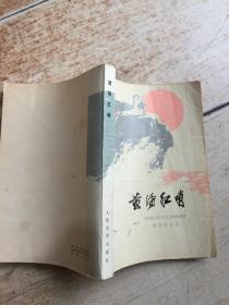 黄海红哨