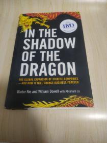 InTheShadowOfTheDragon(全英文版)