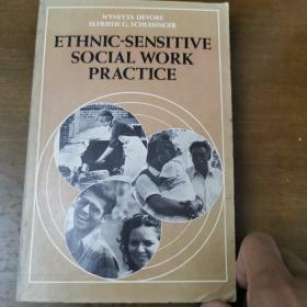 Ethnic-Sensitive Social Work Practice 种族歧视社会工作实践 英文原版