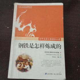 钢铁是怎样炼成的