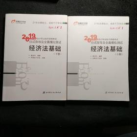 会计专业技术资格考试应试指导及全真模拟测试 经济法基础 2019(2册) 