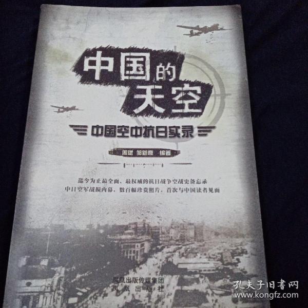中国的天空：中国空中抗日实录