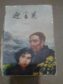 迎春花<插图本>