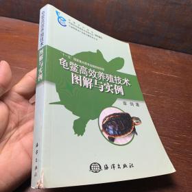 龟鳖高效养殖技术图解与实例