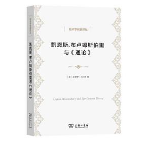 凯恩斯布卢姆斯伯里与通论/经济学名著译丛