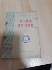 初中代数课外习题集 上册 （中学生文库数学丛书）