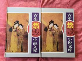 古本禁毁小说文库   醒世婚缘传 （上下）