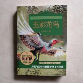 五彩龙鸟