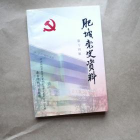 肥城党史资料（第十四辑）