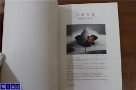 安达瞳子世界名花  茶花物语展   安达瞳子100选  品好包邮