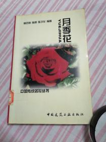 月季花（中国传统名花丛书）