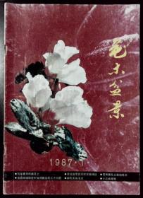 花木盆景 1987-1