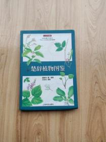 楚辞植物图鉴