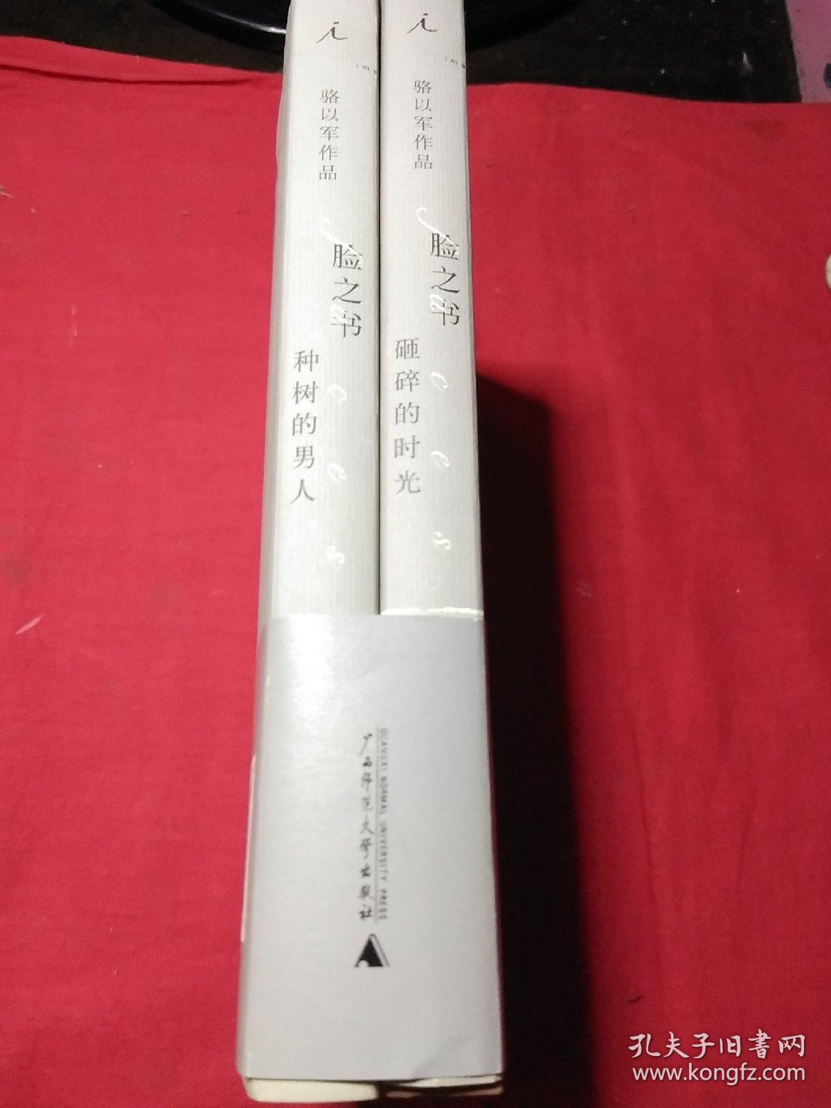 骆以军作品:脸之书(2册全)