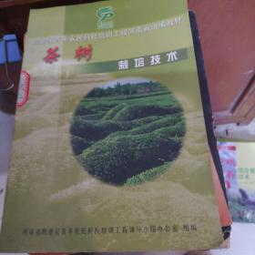 茶树栽培技术