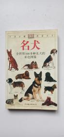 名犬：全世界300多种名犬的彩色图鉴