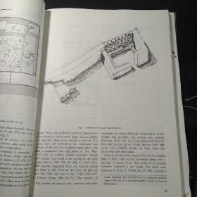 拉克什：圣地和居址（Lachish: The Sanctuary and Residency）