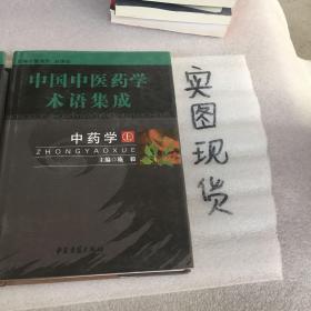 中国中医药学术语集成（上下）