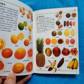 水果保护要诀