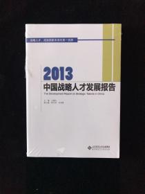 2013中国战略人才发展报告【全新未拆封】