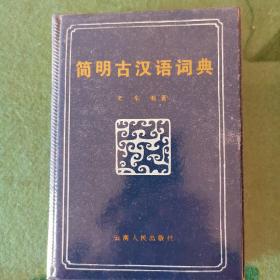 简明古汉语词典（软精装）