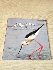 CHONGMING DONGTAN Habitats for Birds  崇明东滩鸟类的栖息地