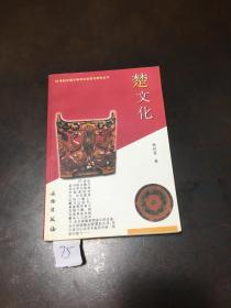 楚文化：20世纪中国文物考古发现与研究丛书