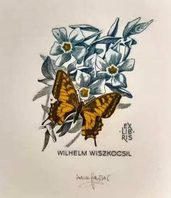 奥地利Werner Pfeiler 藏书票版画原作1精品收藏尺寸11*13cm