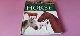 外文原版英文原版The Illustrated Encyclopedia of the HORSE马的插图的百科全书