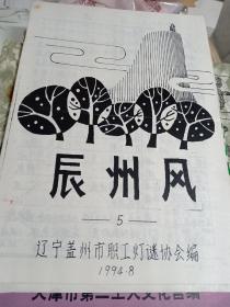 辰州风，总第五期，辽宁盖州市职工灯谜协会，1994年8月，总14页​