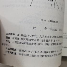 标准针灸穴位图册