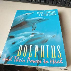 海豚及其治愈能力Dolphins and Their Power to Heal