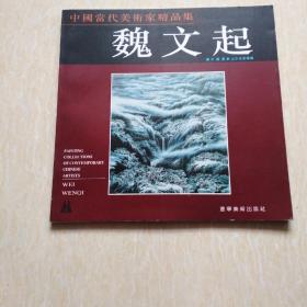 中国当代美术家精品集.魏文起