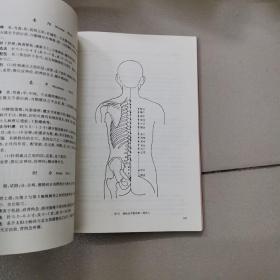 标准针灸穴位图册
