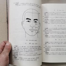 标准针灸穴位图册