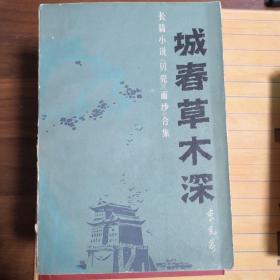 城春草木深——长篇小说《贝壳》《面纱》合集
