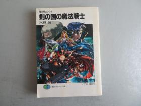 剣の国の魔法战士