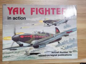 Yak Fighter in Action